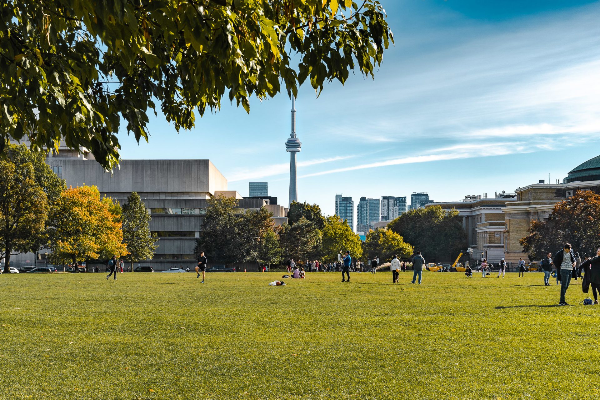 The CN Tower seen on a sunny day from the University of Toronto campus