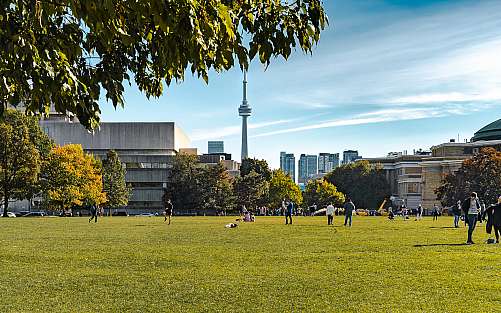 The CN Tower seen on a sunny day from the University of Toronto campus